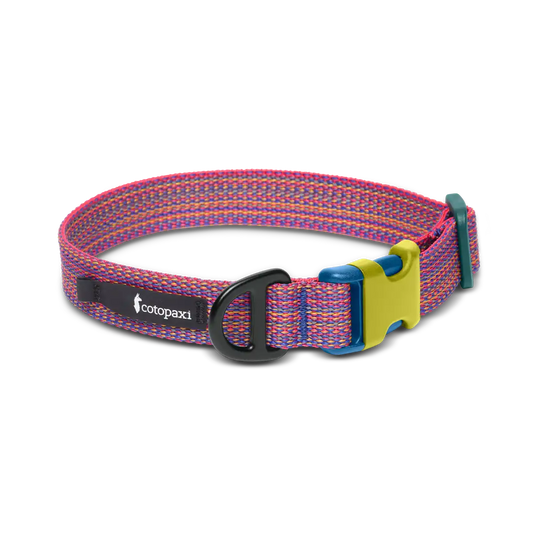 Del Día Dog Collar