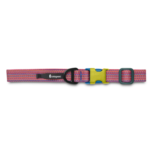 Del Día Dog Collar